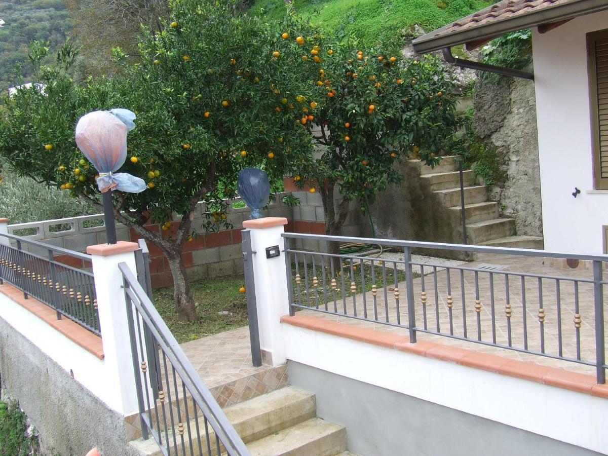 Relax Vista Eolie Apartment Piraino Exterior photo